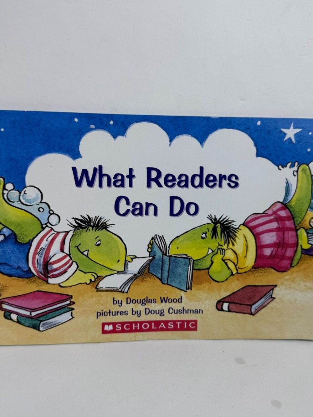 What Readers Can Do Douglas Wood Scholastic Paperback Book ISBN 0439587417